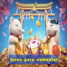 bicos para aumentar a renda